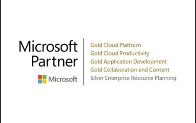 HUDI Silver e Gold Partner di Microsoft